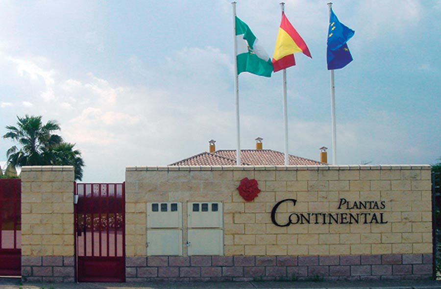 Plantas Continental